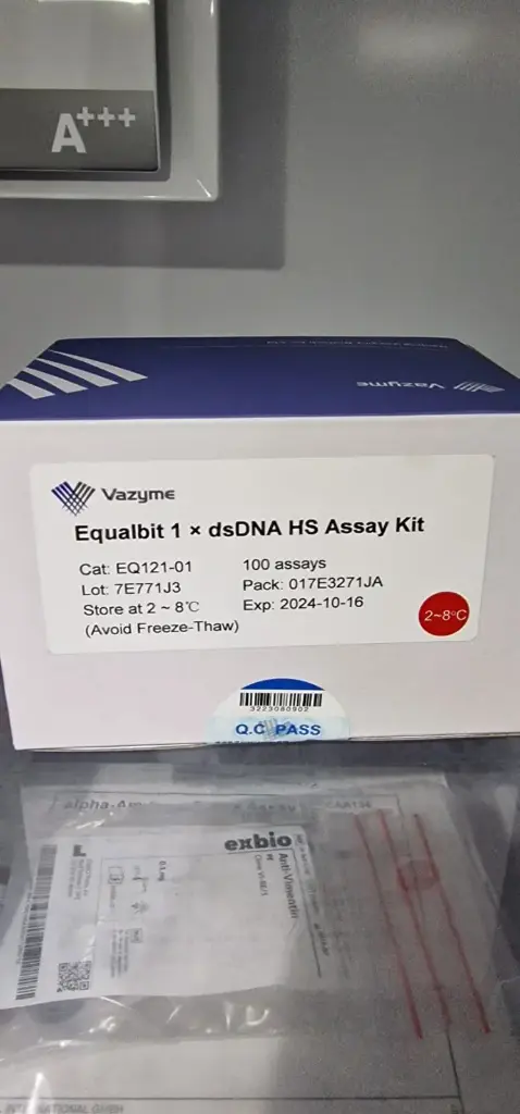 Equalbit 1 × dsDNA HS Assay Kit